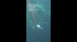 Terrifying moment freediver's line gets tangled up in ditched fishing gear