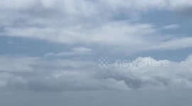 Surfers and birds enjoy the strong winds in Devon after Met Office yellow weather warning