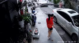 Woman and baby narrowly escape being hit by collapsing termite-infested tree in China