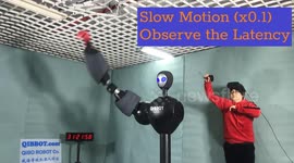 Robo-Rocky: World's fastest human-controlled fighting bots