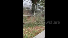 Japan: Typhoon Khanun Pounds Okinawa Causing Damage 12
