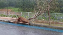 Japan: Typhoon Khanun Pounds Okinawa Causing Damage 13
