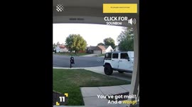 People vs Bees and Wasps