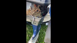 Boating Season Put on Hold