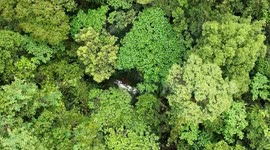 Wreckage of Cessna plane missing for two days found in forest with pilot and passenger dead