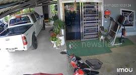 Wild monitor lizard wanders inside family's garage and quickly leaves upon hearing people