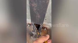 Good Samaritan cuts hole in metal pillar to save trapped sparrow
