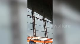 Wild monkey sparks chaos running loose in Malaysia airport