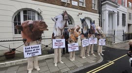 PETA activists protest Egypt in London demanding horse and camel rides to Pyramids to be banned