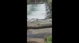 Young unsung hero saved little girl in the water with life preserver