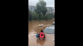Navigating the Deluge in Beijing, China: Man and Dogs Unite in Makeshift Rescue Boat Amid Torrential Rain Caused by Typhoon Doksuri