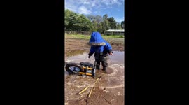 Son Plays In The Mud