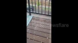US: Severe Thunderstorms Bring Strong Winds And Large Hail To Denver Met Area 2