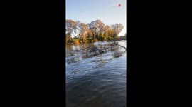 Audacious fella does mindblowing wheelies on water... while driving a motorboat!