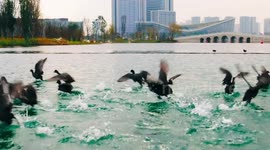 From Beijing to Shenzhen to Chengdu, Universiade shows a changing China
