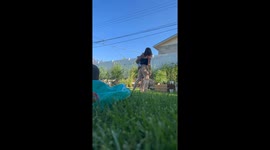 Pregnancy Announcement Blocked By Chicken