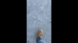 Dog Acts Differently On The Other Side