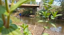 El ninno bring dryness on some vilages at Probolinggo regency, east java, Indonesia.