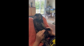 Cat Begrudgingly Participates in Sing Along