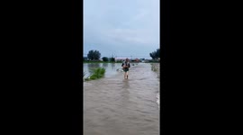Elderly man rescues two puppies from flood