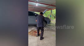 Locals jack up car to rescue cat stuck in wheel chassis