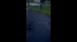 Kindhearted woman realizes she has bunny's full trust when it eats from her hands