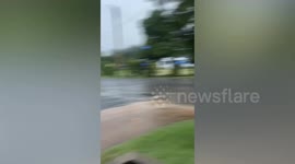 Kind soldiers rescue eight puppies trapped in drain