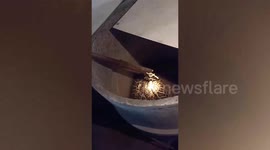 Frantic farmers catches large python hiding inside warehouse