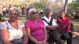 43rd Cherry Blossom Festival at Parque do Carmo in Sao Paulo, Brazil