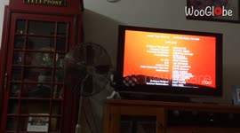 EPIC slip & crash teaches silly cat that what goes up must come down!