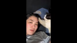 Sweet serenity: a head massage exchange between human and feline in General Santos City