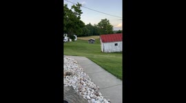 Little Motorcycle Racer Rides in the Backyard