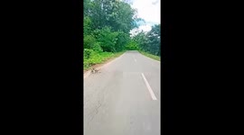 Love Nature n it's Beauty. Your mind sometimes needed peace from all the noisy city life.