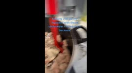 Making chili for my cheating husband