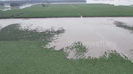 Agricultural technicians in China's Hebei help farmers reduce grain losses