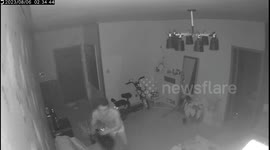 Intuitive Chinese dog awakens owner seconds before earthquake hits