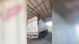 Pigeon stuck in barn rafters rescued by lorry driver who climbs into roof