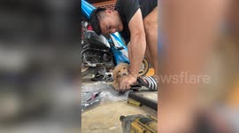 Adorable pet puppy helps owner fix his motorcycle
