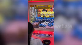 Sleepy cat dozes off in claw grabber machine