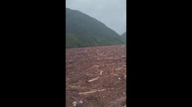 Extreme log jam: Thousands of trees cover river's surface as flash floods hit Vietnam