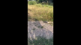 A Sad Fishing Fumble