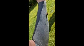 Stinging Wasp Gets Stuck