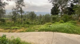 Chrissy took Tuk driving skill on the mountain through the Tea Fields