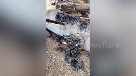 Volunteers clean up oil spill on beach in southern Thailand