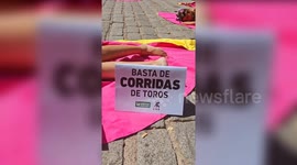 Activists stage topless protest against bullfighting in Majorca, Spain