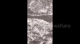 Japan: Rivers Swell In Yakushima After Typhoon Khanun Brings Torrential Rain
