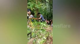 Devil monkeys push driver down 160ft hillside then attack him in Thailand