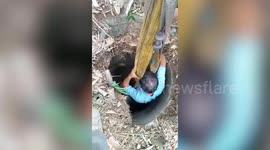 Locals rescue cow stuck in well in family's garden