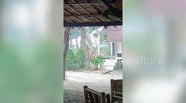 Strong wind blows away beach parasol during storm in Thailand