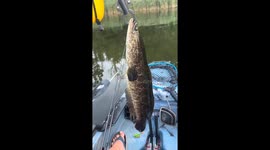 Fisherman's tale: the one that got away - a Baltimore fishing adventure